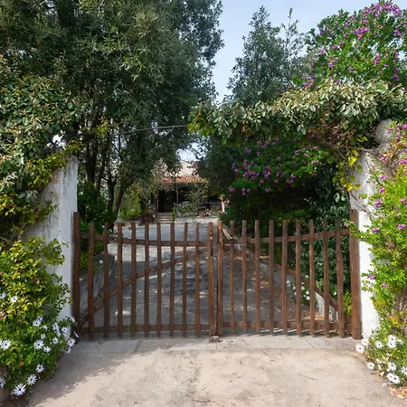 Rustico Gallurese * Vignola Mare