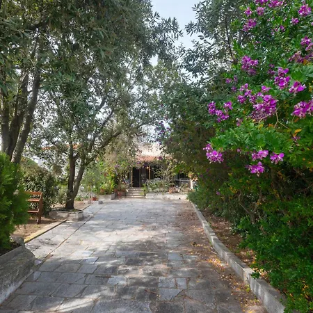 Rustico Gallurese